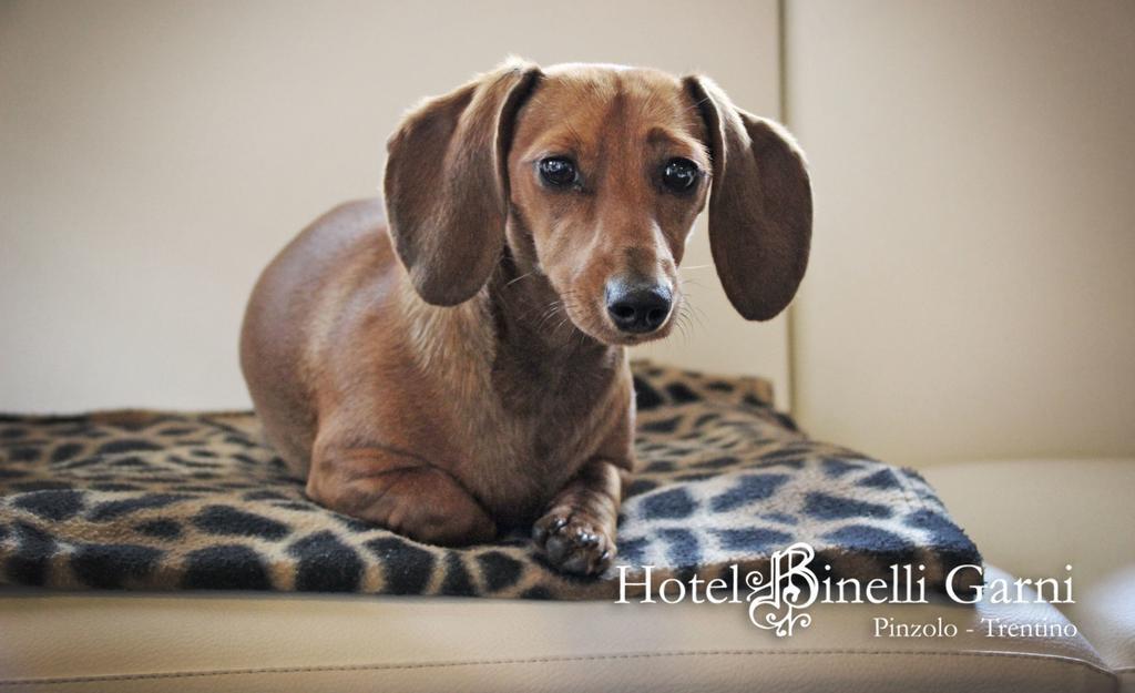 פינזולו Hotel Binelli מראה חיצוני תמונה